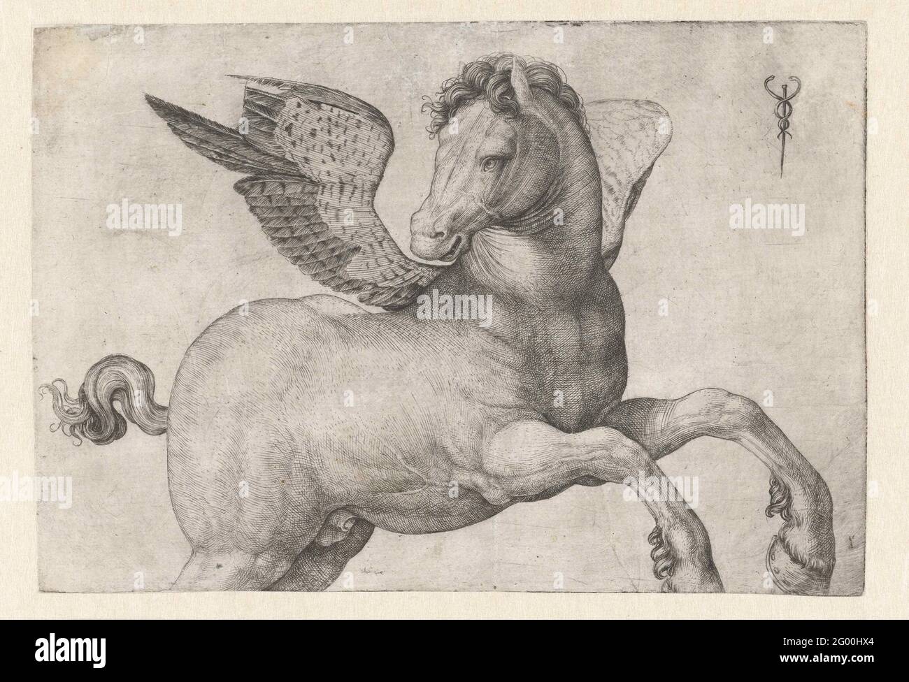 Pegasus the flying horse of greek mythology hi-res stock photography ...
