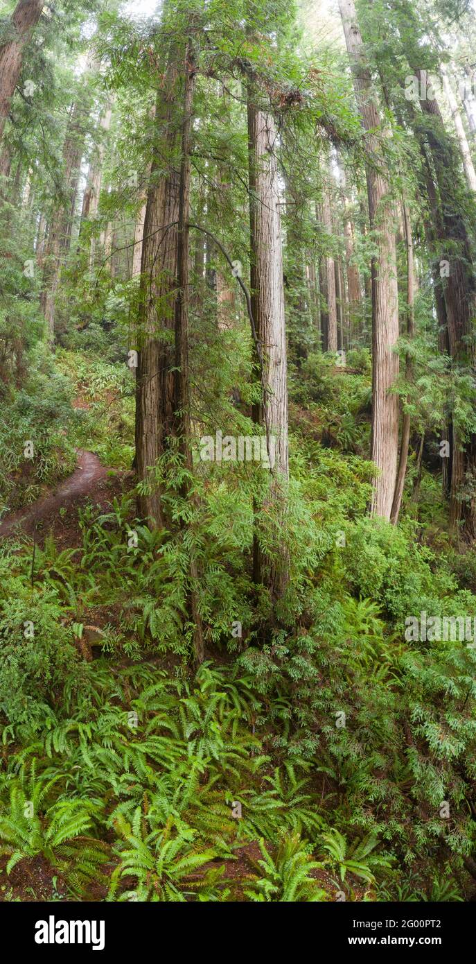 Moist environment hires stock photography and images Alamy