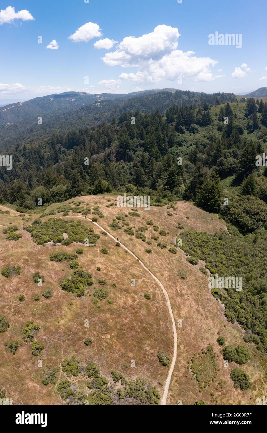Trails meander through the vegetation-covered hills of the East Bay, just a few miles from San Francisco Bay in Northern California. Stock Photo
