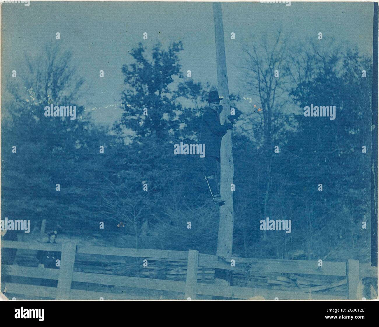 Man the in one tree or pole is gathered Stock Photo - Alamy