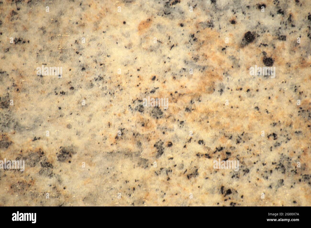 Soft Yellow Granite Vietnam Light Yellow Granite BD Yellow Granite