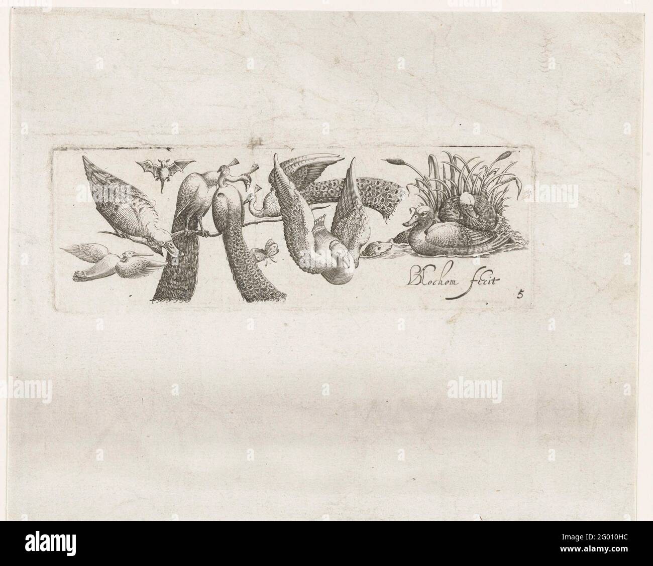 Eight birds; Frisians with birds. Birds, ducks and three peacocks, a bat, butterfly and a marten. Stock Photo