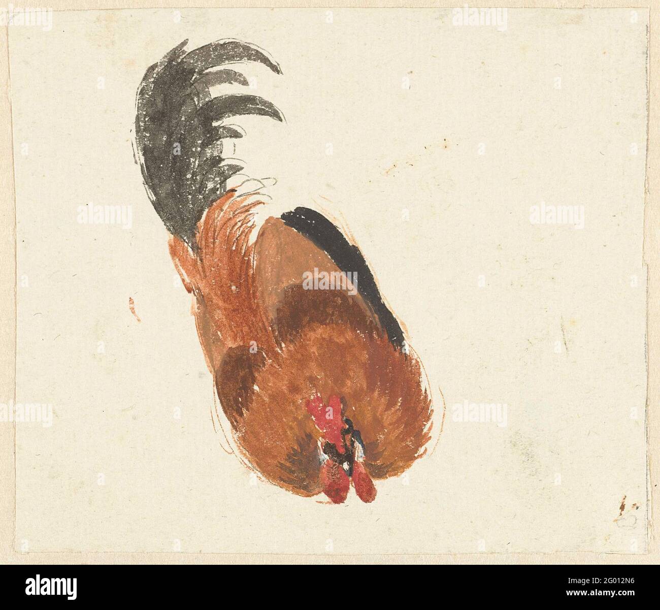 Study of a dead rooster Stock Photo Alamy