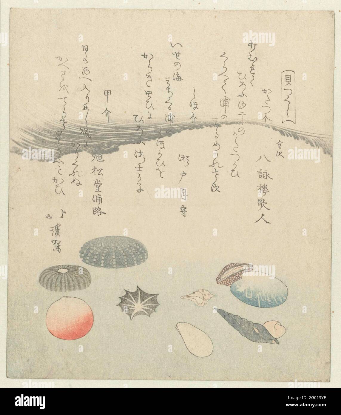Round red and blue shell with smaller shells; A series of shells ...