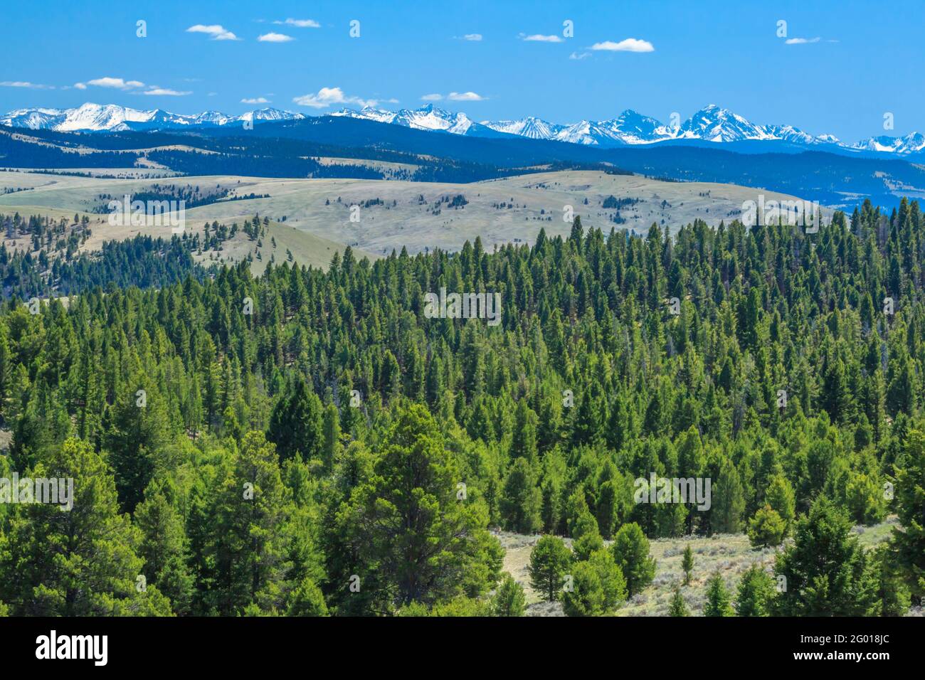 peaks of the anaconda range above foothills near philipsburg, montana Stock Photo