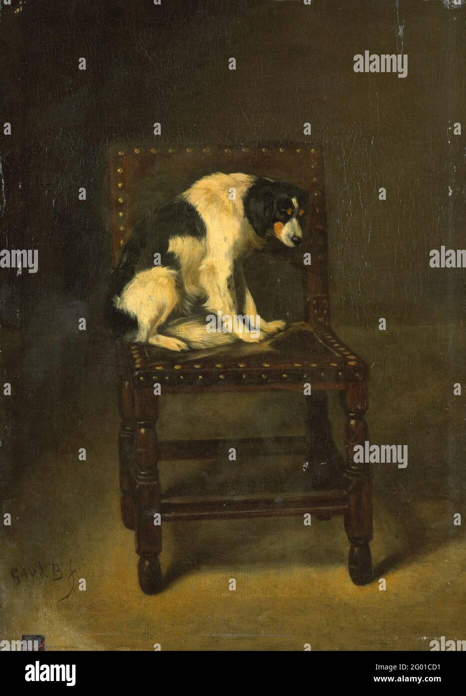 A Dog on a chair. A dog sitting on a chair Stock Photo - Alamy
