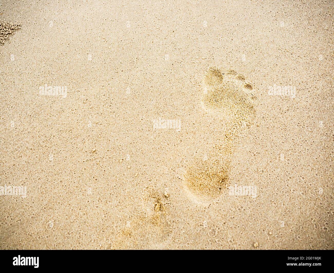 Beach Sand Footprints With Copy Space Close Up Human Footprint From Walking Barefoot On The