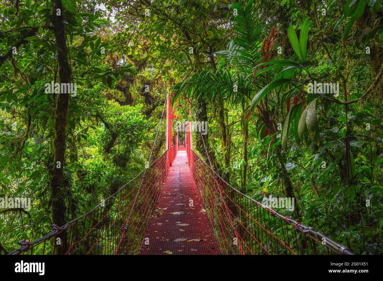 Red suspension bridge in Monteverde Cloud Forest, Costa Rica Stock Photo