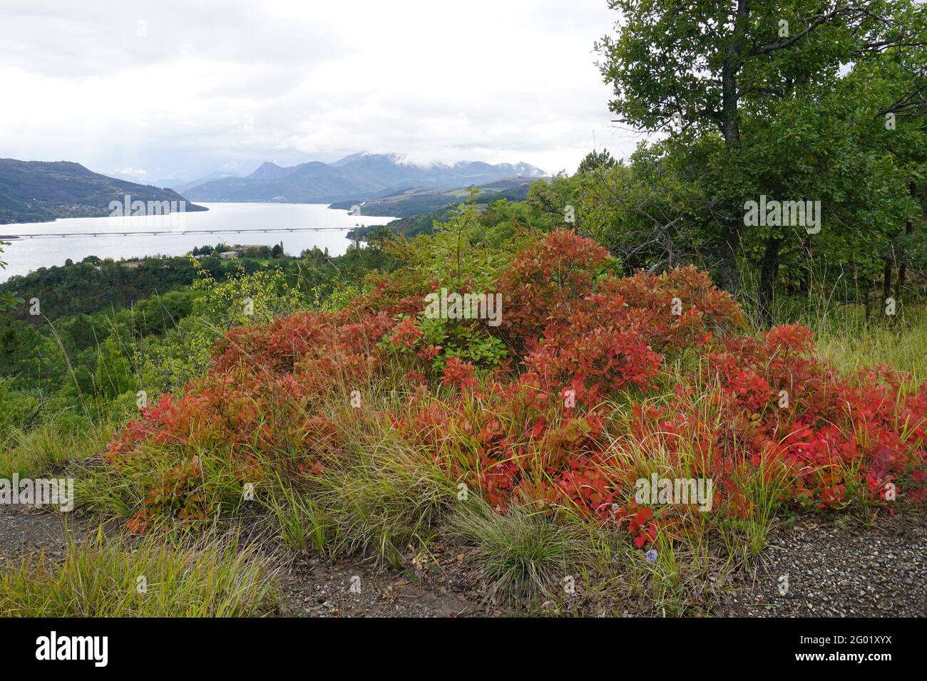 colorful view of serre ponçon lake france on a fall day Stock Photo