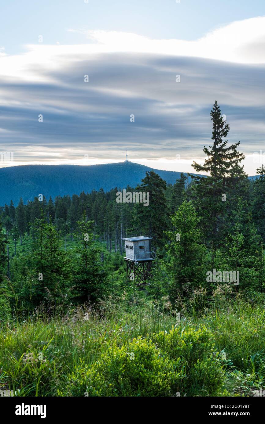 Praded hill from Velka Jezerna hill summit in Jeseniky mountains in Czech republic during summer early morning Stock Photo