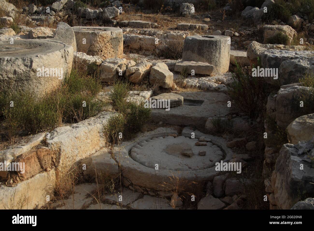 Revolving stones turned around by animals to crush olives to get the oil, an ancient Olive Oil Press in the ruined of an ancient 2nd Temple era site Stock Photo