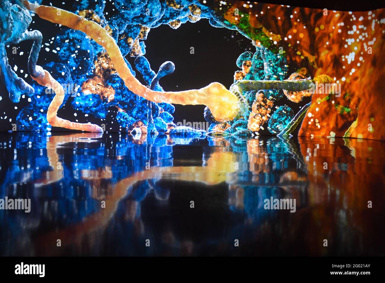 Atelier Des Lumieres Illuminated By The Famous And Singular Works Of Salvador Dali The Immersive Exhibition Dali The Never Ending Enigma Looks Back On More Than 60 Creative Years Of The Catalan Master