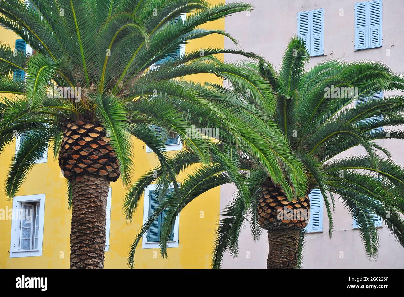 FRANCE. CORSE DU SUD (2A) AJACCIO Stock Photo