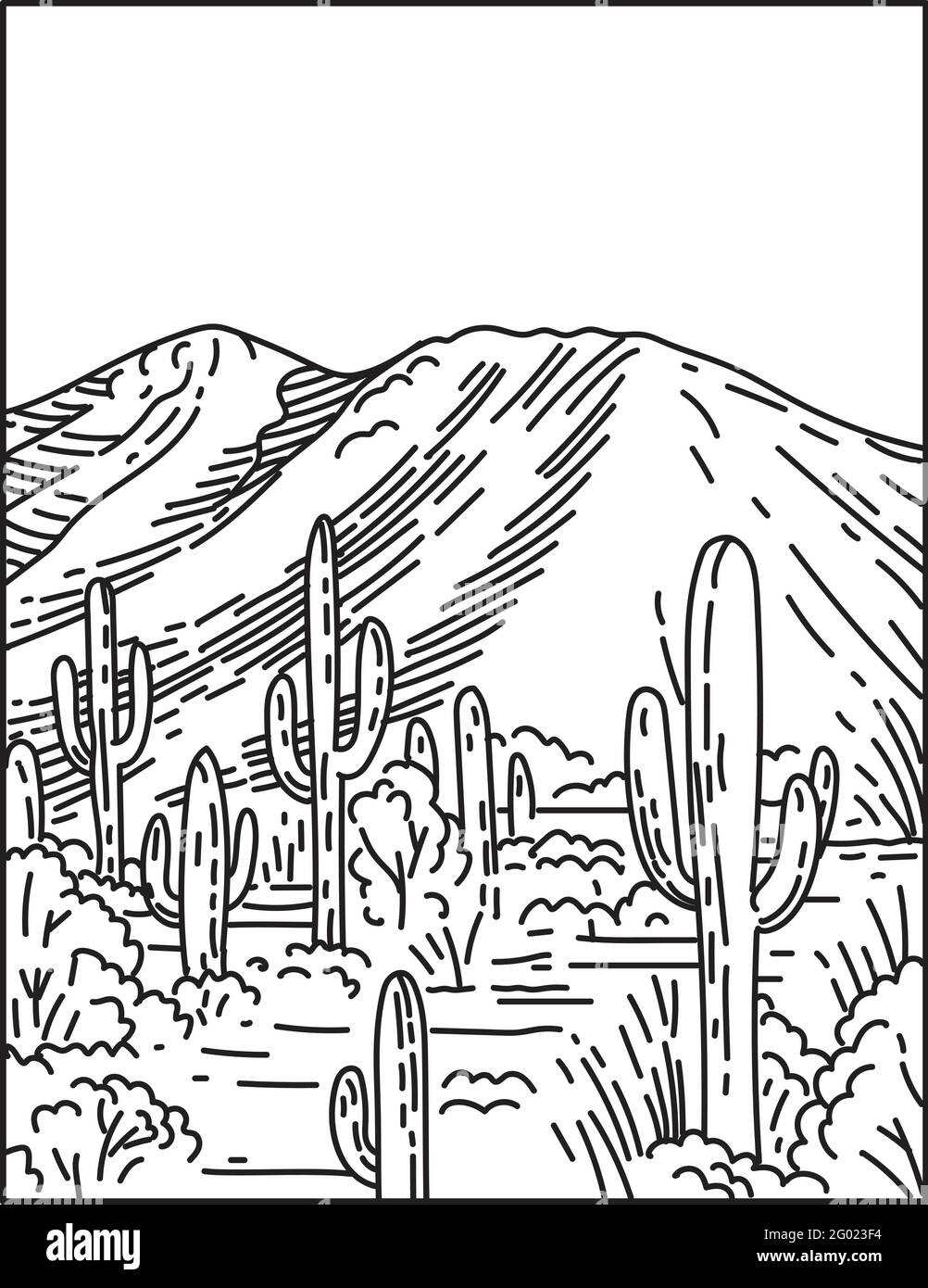 Mono line illustration of the Wasson Peak at the Tucson Mountain District in Saguaro National Park located in Arizona, United States done in retro bla Stock Vector