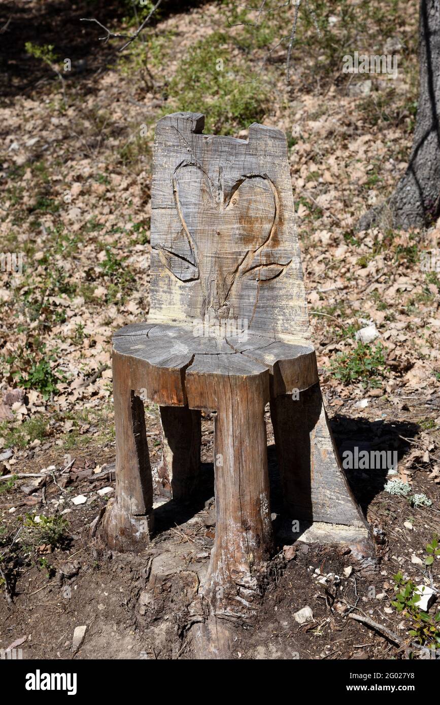 Rustic Wooden Chair Carved out of a Tree Trunk with Heart Shape on Chair Back in Forest Stock Photo