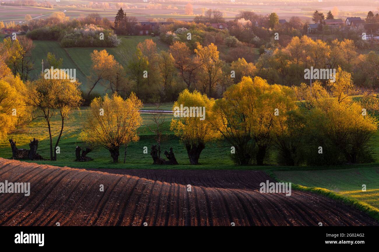 spring panorama of fields on farmland cultivated extensively and ecologically Stock Photo