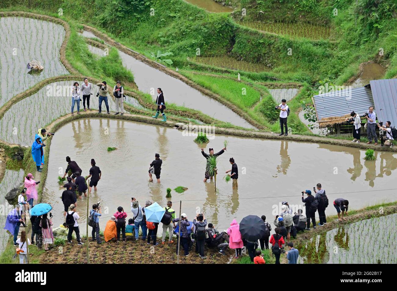 May 29, 2021, Congjiang, Congjiang, China: On May 29, 2021, the Jiabang Terraced Field Scenic Spot in Congjiang County, Qiandongnan Miao and Dong Autonomous Prefecture, Guizhou Province, held the first ''Rice-planting Festival''. Hundreds of Miao villagers gathered in the terraced fields in Jiaye Village, Jiabang Township, Congjiang County. A grand ceremony of ''Opening Seedling Festival'' was held in the past to welcome the arrival of the year when the seedlings are planted. Credit: ZUMA Press, Inc./Alamy Live News Stock Photo