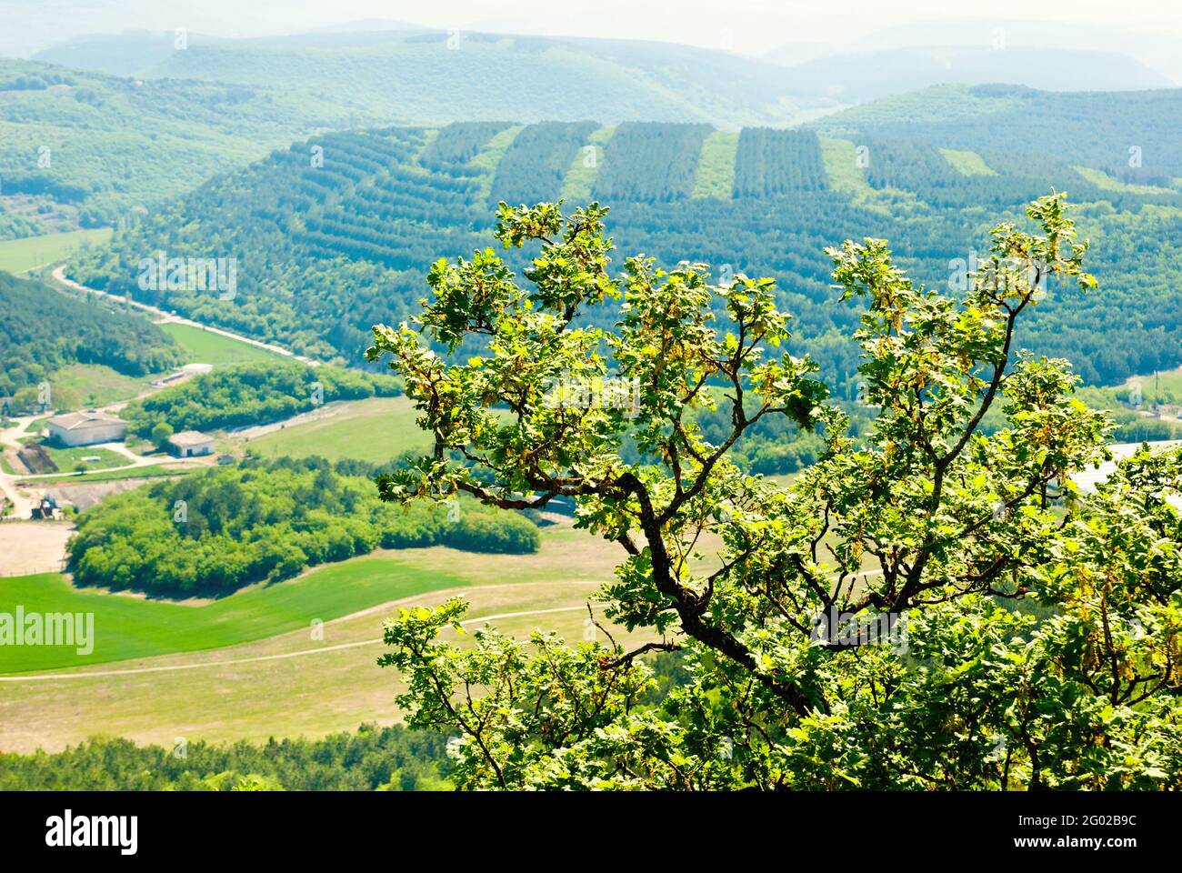 Lush green landscape hill area hi-res stock photography and images - Alamy