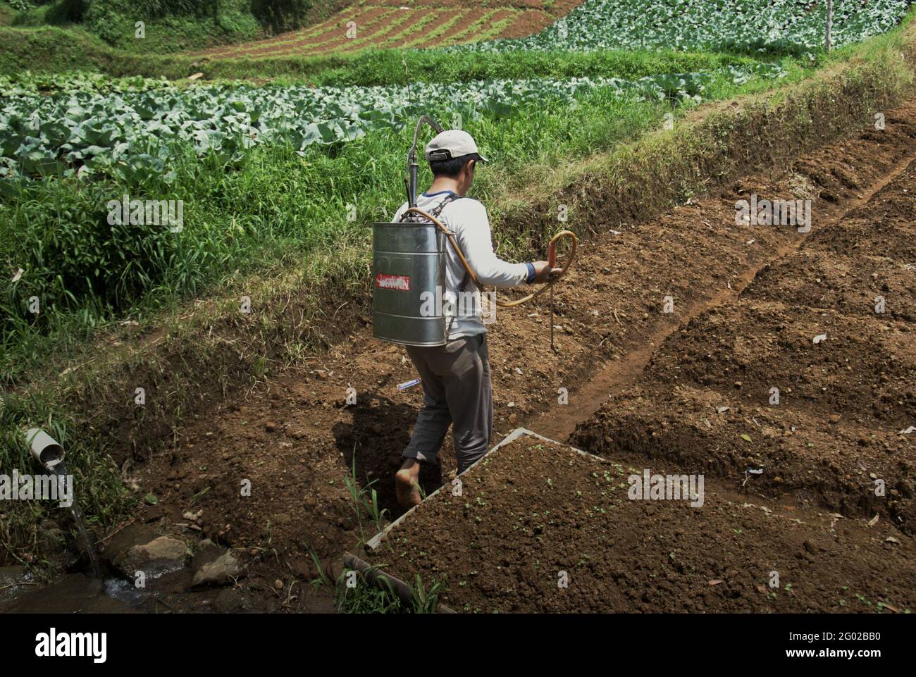 A vegetable farmer carrying a pesticide sprayer as he is walking through agricultural field in Pacet, Cianjur, West Java, Indonesia. Climate change will influence food production via direct and indirect effects on crop growth processes, according to a 2021 scientific assessment focusing on climate risk, which was published by The World Bank Group and Asian Development Bank. Indirect effects include changes in pest and disease profiles, among others. Stock Photo