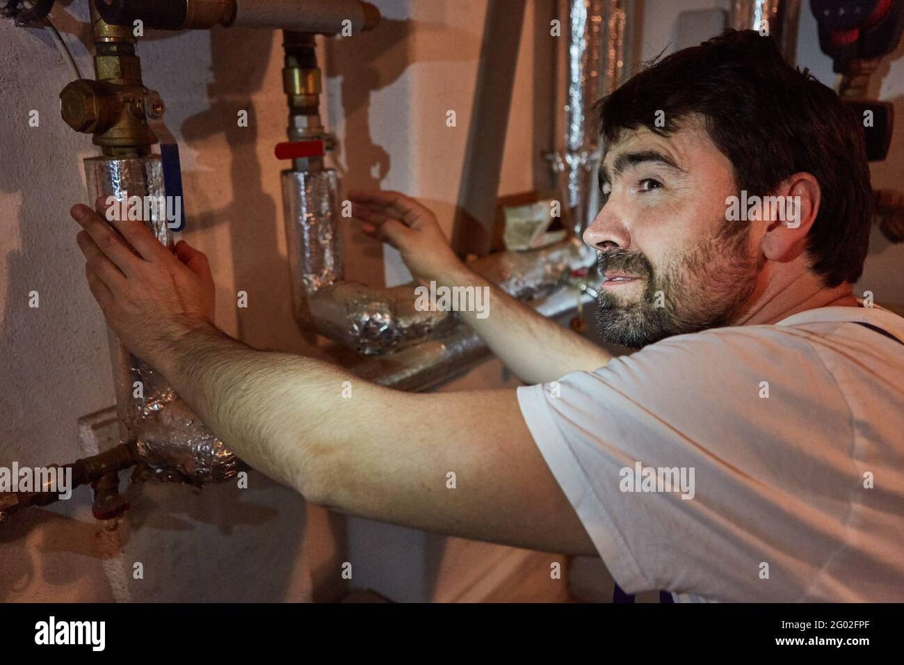 Do-it-yourselfer or plumber checks the insulation of the water pipes of the heating in the basement Stock Photo