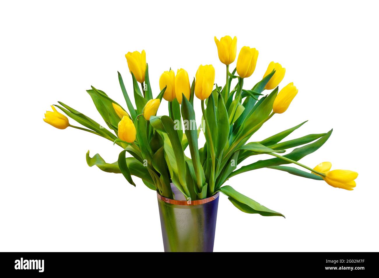 A bouquet of spring tulips flowers, isolated in white background Stock ...