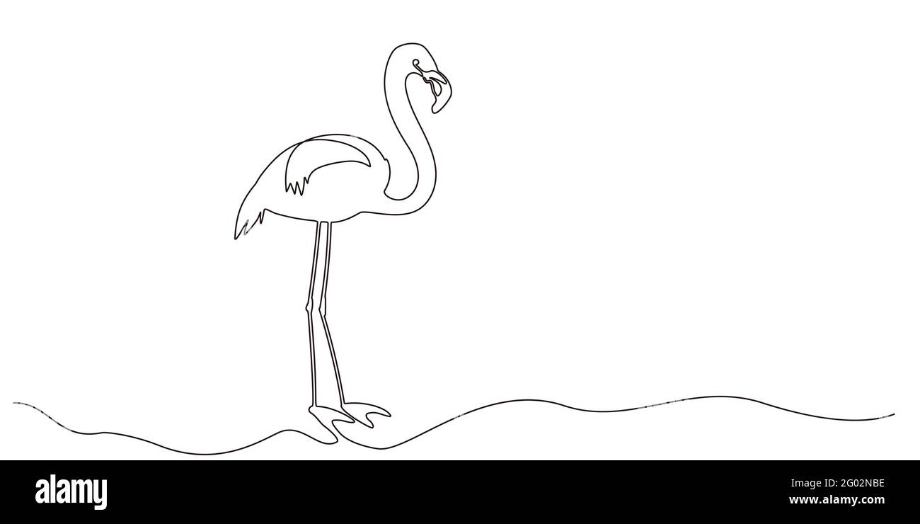 Flamingo clipart set Tropical bird drawing  Stock Illustration  60786518  PIXTA