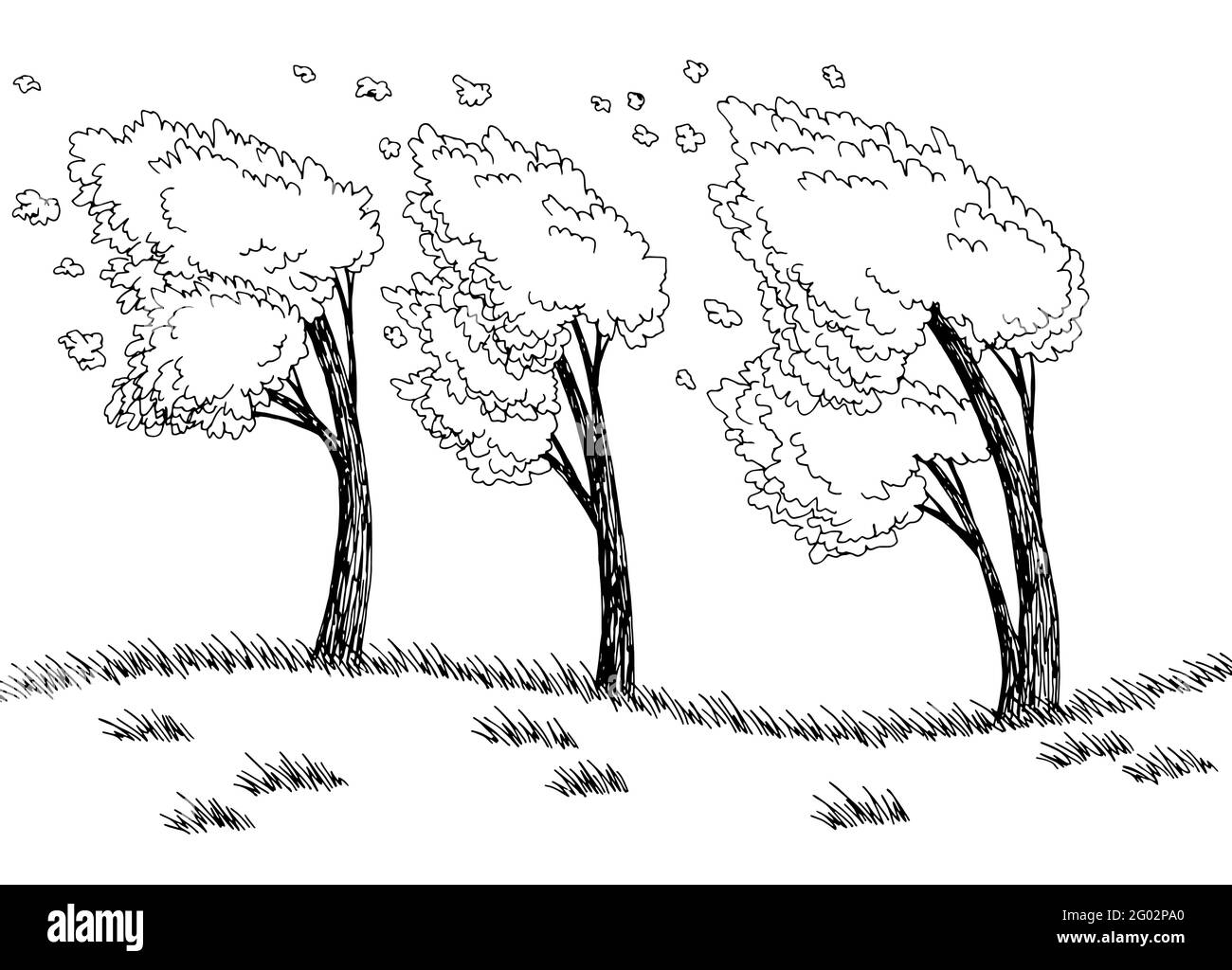 Wind Sketch PNG Transparent Images Free Download | Vector Files | Pngtree