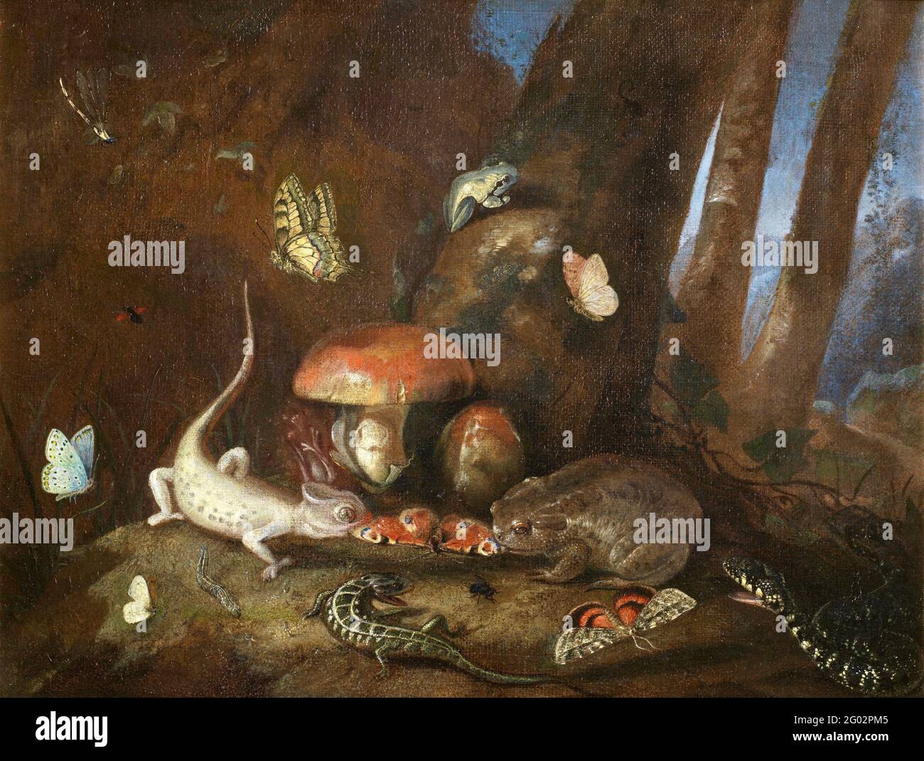 Otto Marseus van Schrieck - A forest floor with lizards, toads and butterflies Stock Photo