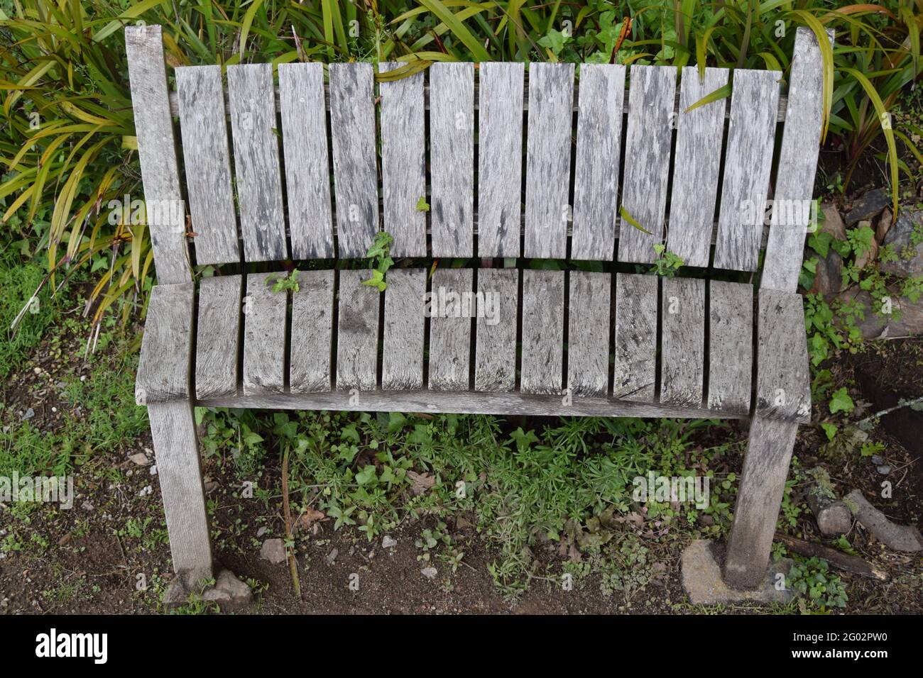Wooden Bench Stock Photo