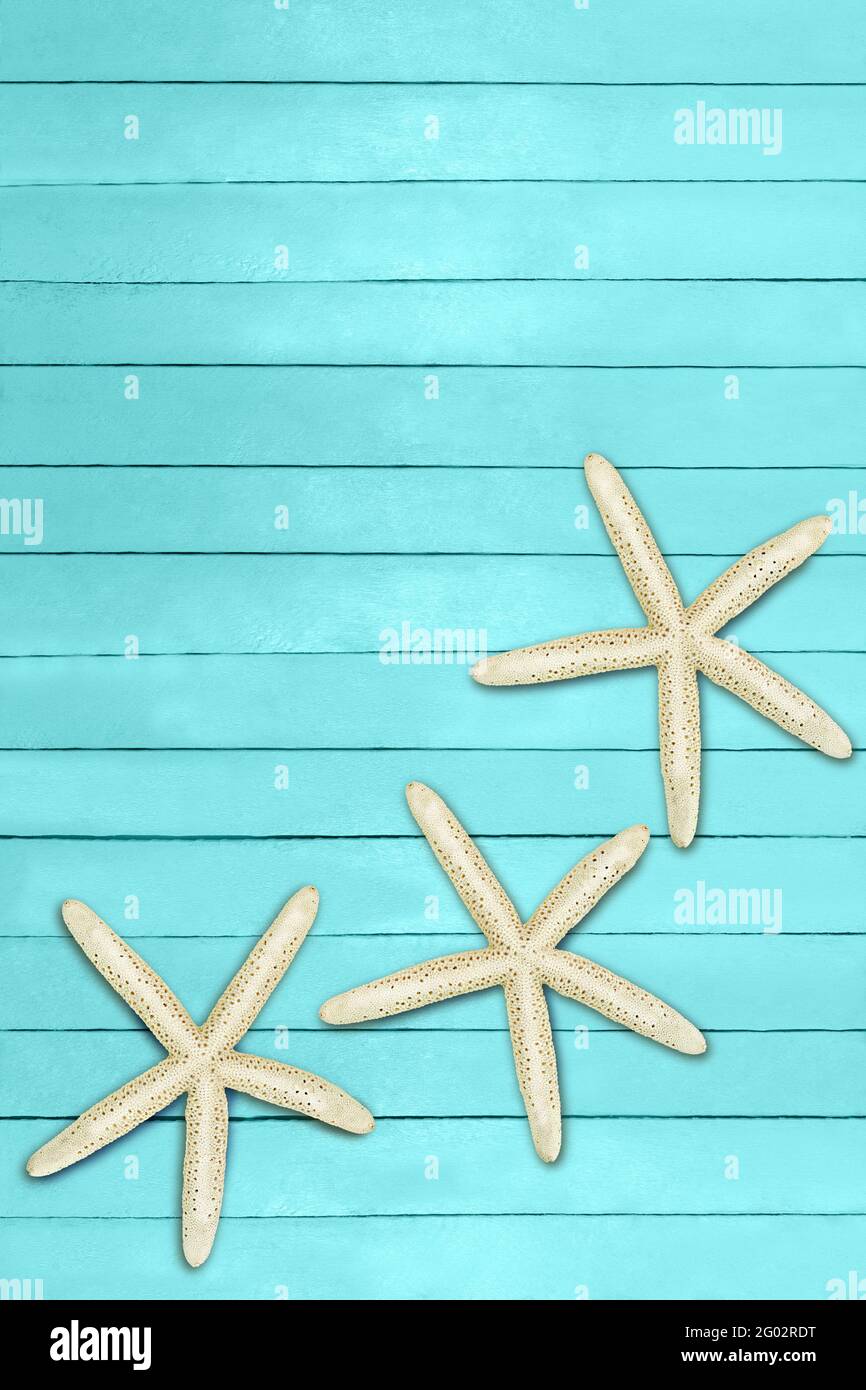 Aquamarine, turquoise, blue boards with starfish. Travel, summer, spring background. Pier, beach. Marine flat lay. Copy space Stock Photo