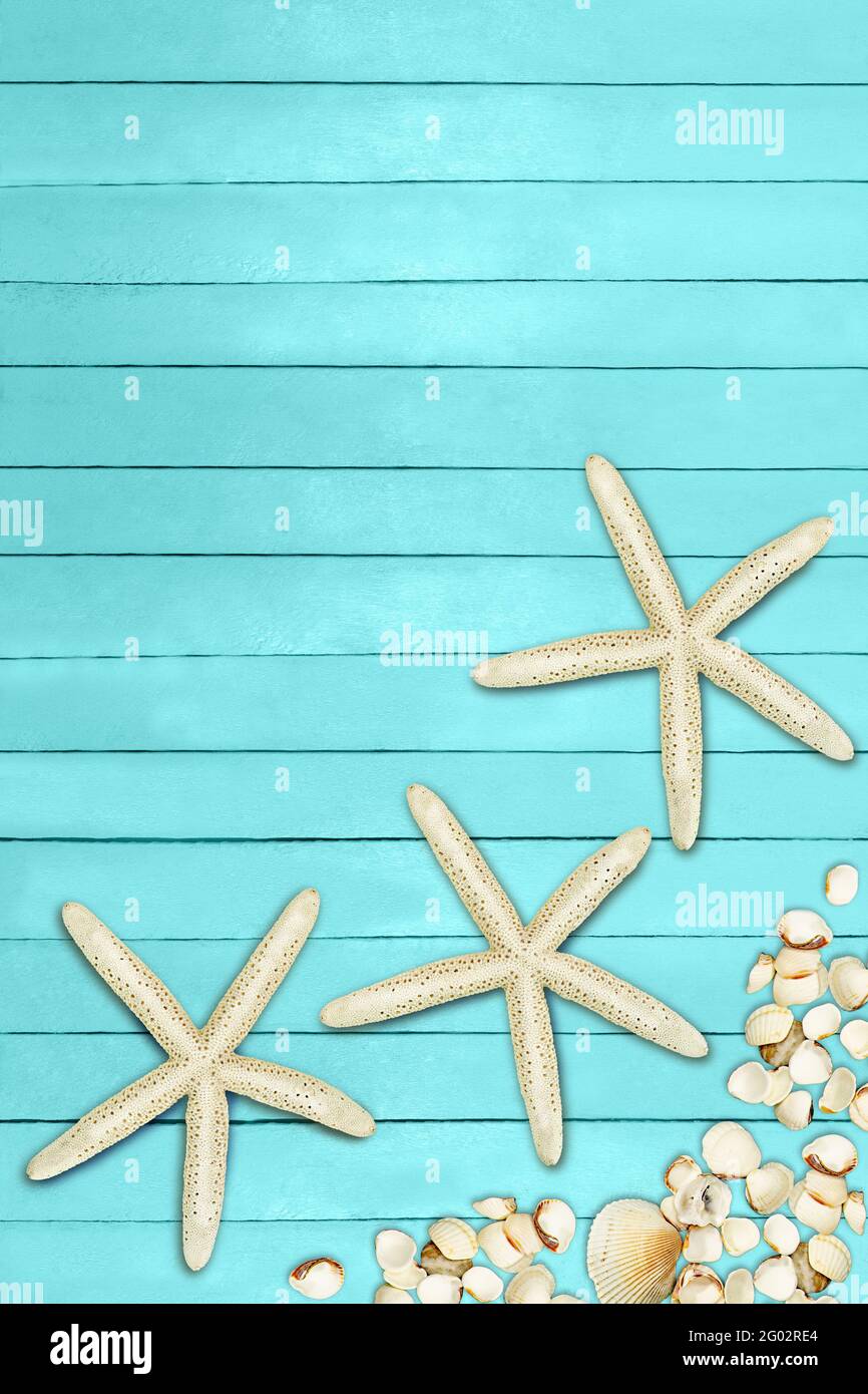 Aquamarine, turquoise, blue boards with starfish and shells. Travel, summer, spring background. Pier, beach. Marine flat lay. Copy space Stock Photo