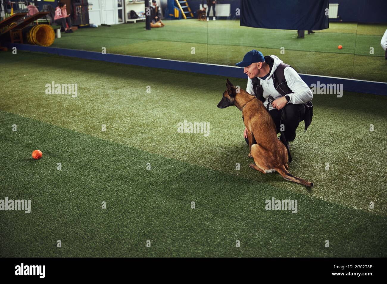 Pleased professional animal trainer training an adult canine Stock