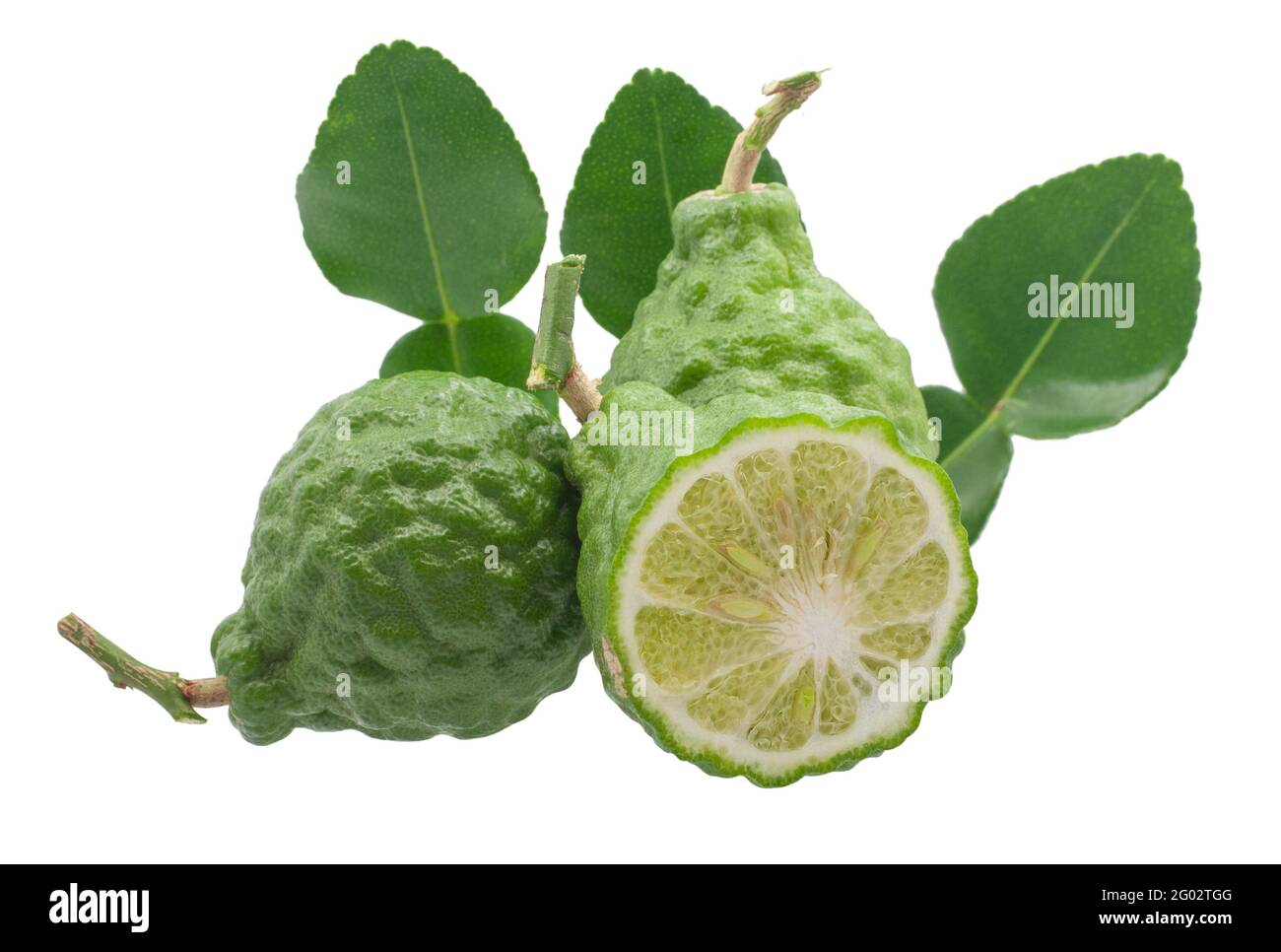 Kaffir lime fruits isolated on white background Stock Photo - Alamy