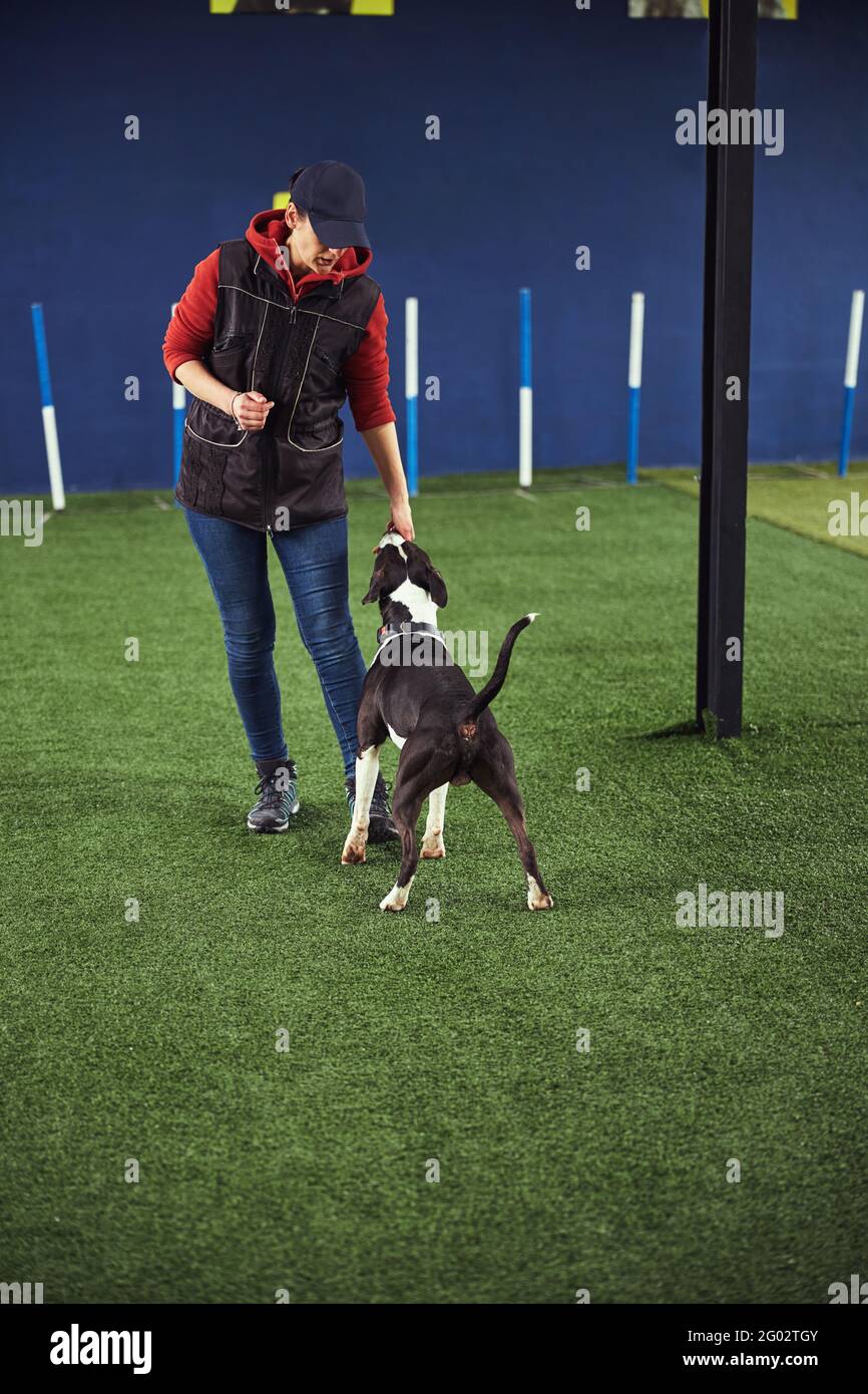 Woman giving dog a treat hires stock photography and images Alamy