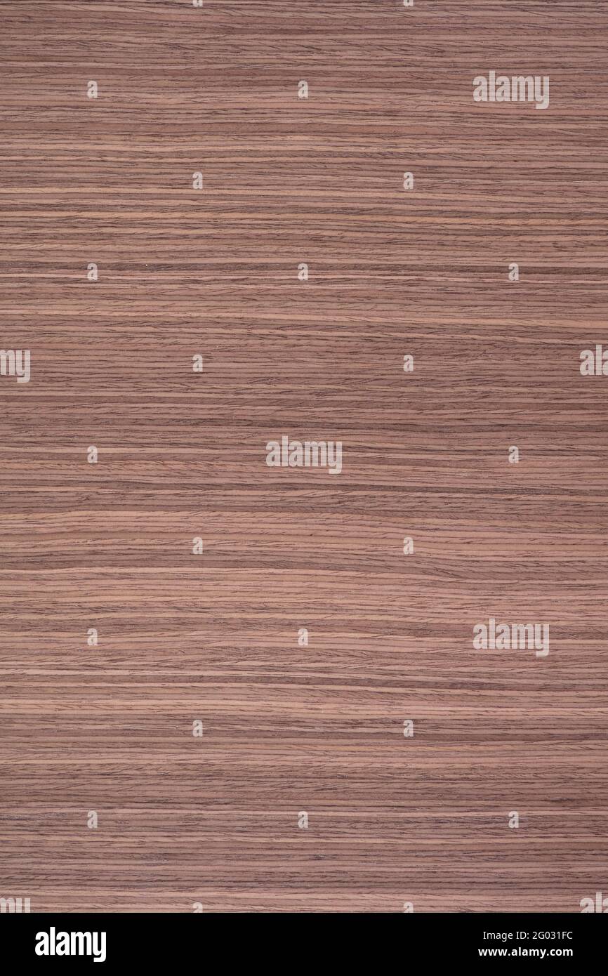 Striped American Walnut veneer background, texture in strict color for