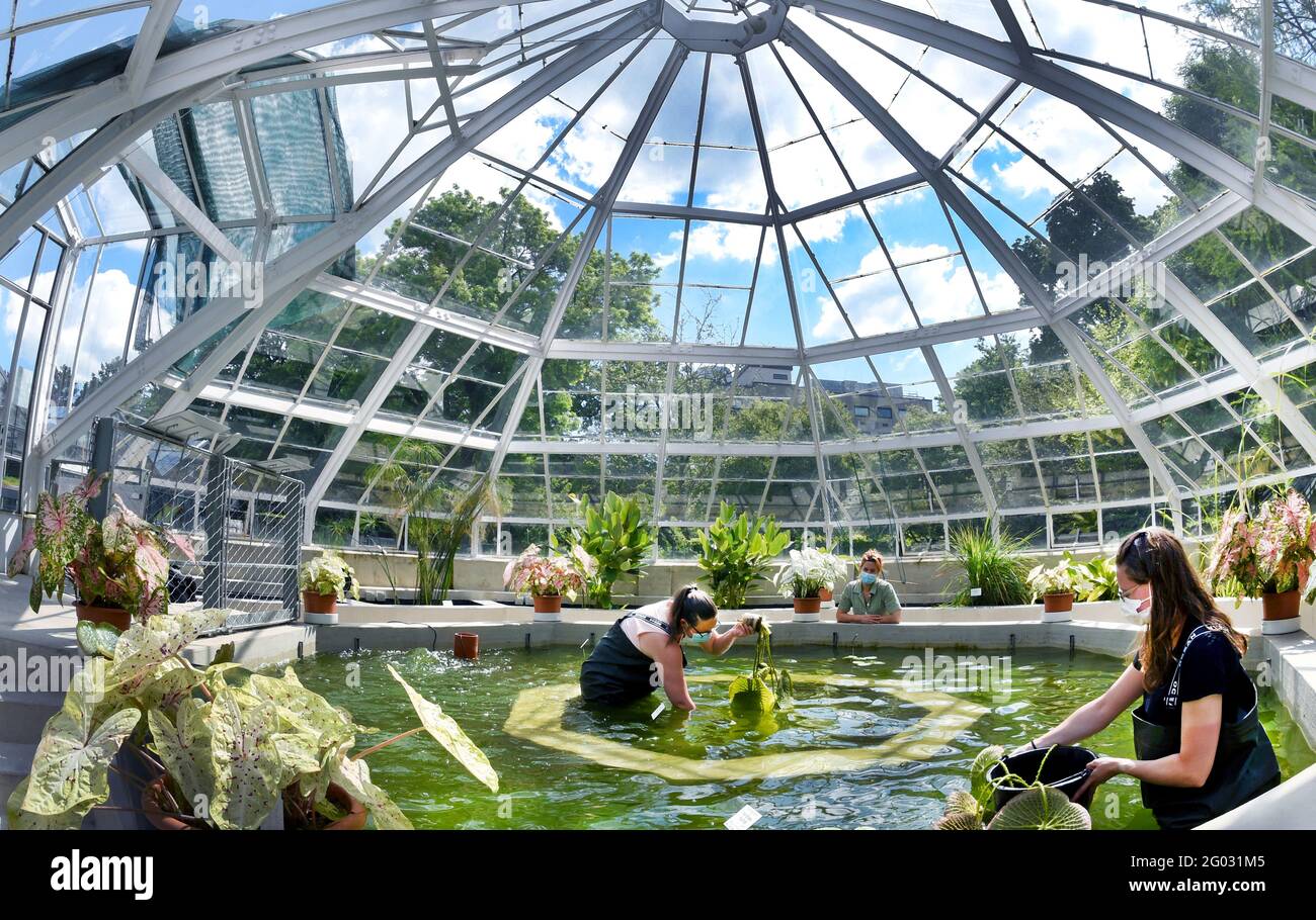 Botanical garden leipzig germany hires stock photography and images