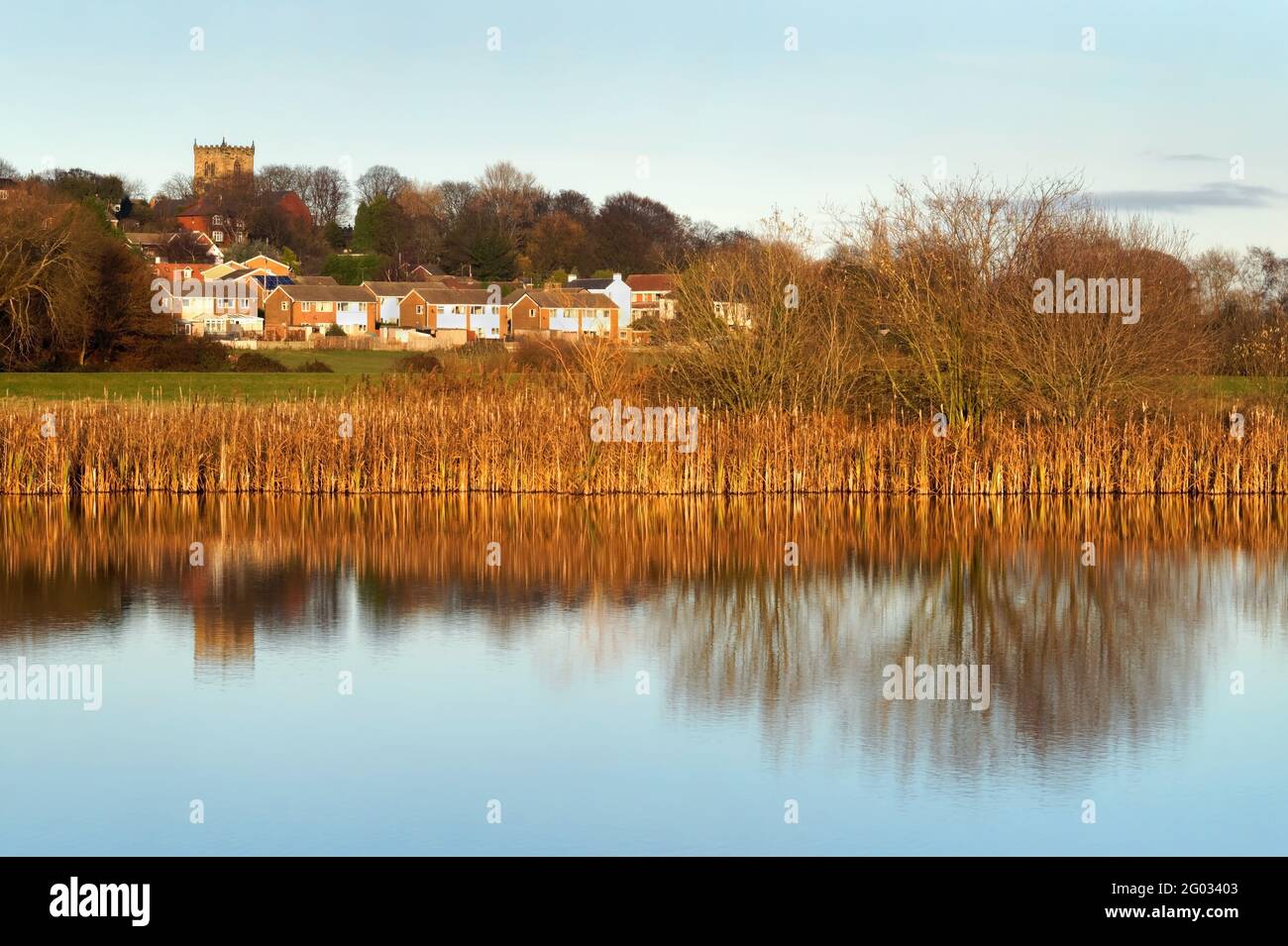 UK, South Yorkshire, Barnsley, Darfield and Wombwell Ings Nature