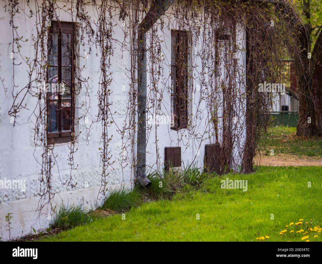 A white, brick house. Podlasie. Podlachia. Poland, Europe. The region is called Podlasko or Podlasze Stock Photo