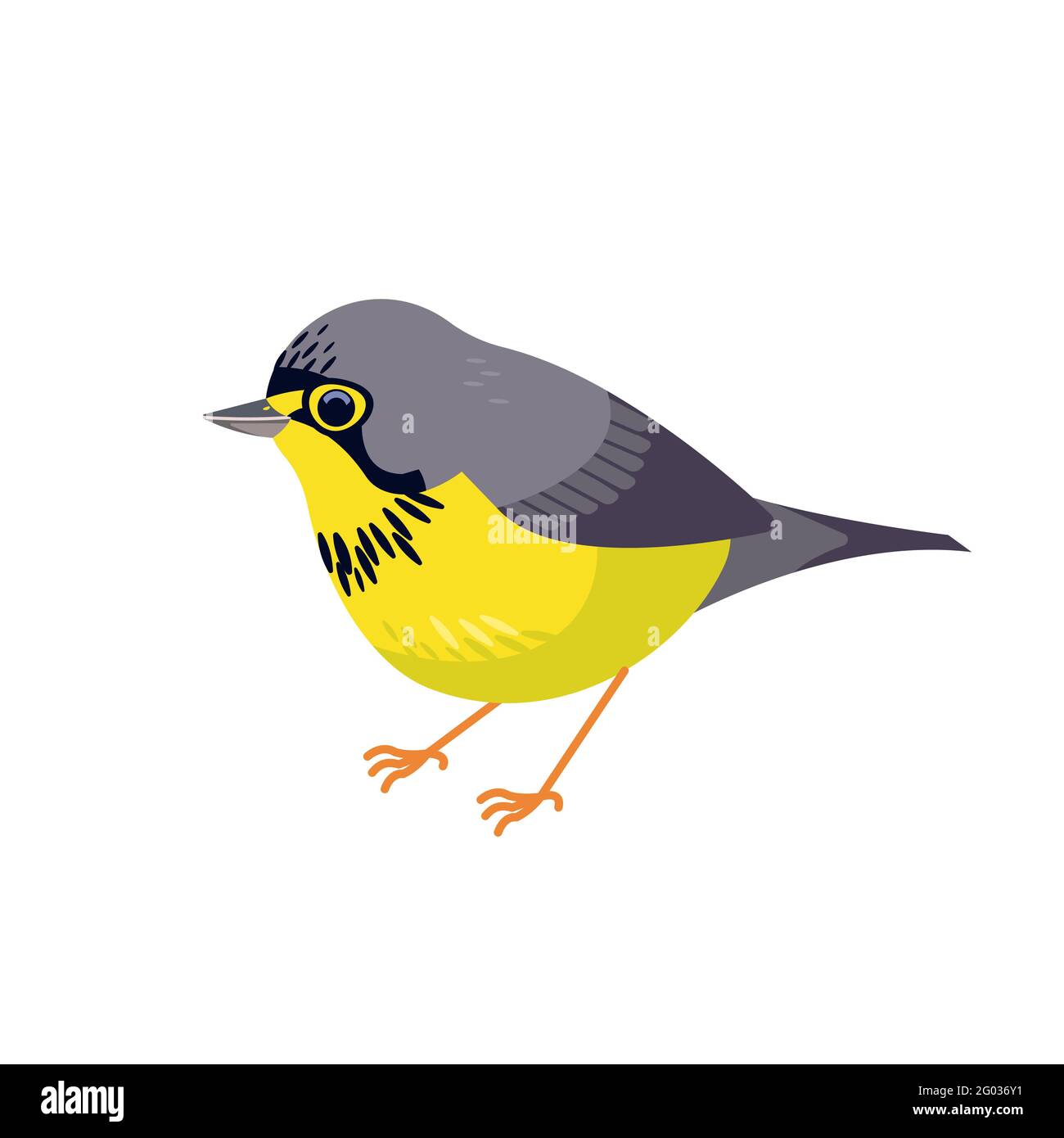 Canada warbler is a small boreal songbird of the New World warbler family Parulidae. Cartoon flat style beautiful character of ornithology, vector Stock Vector
