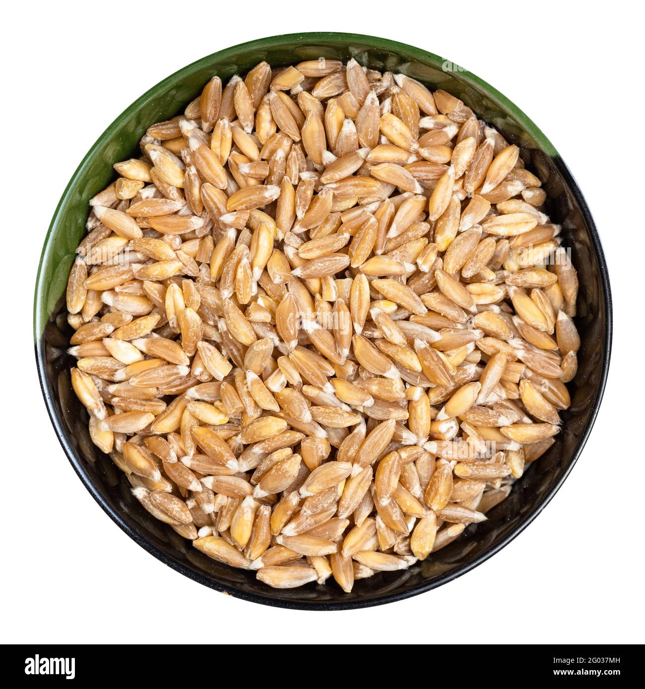 top view of Emmer farro hulled wheat grains in round bowl isolated on