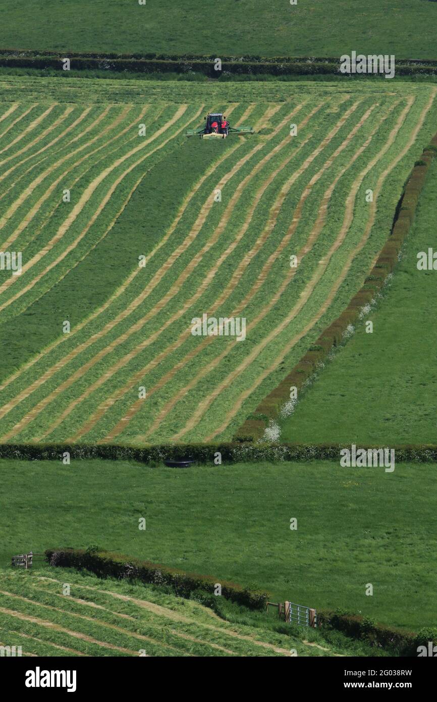 Silage making process hi-res stock photography and images - Alamy