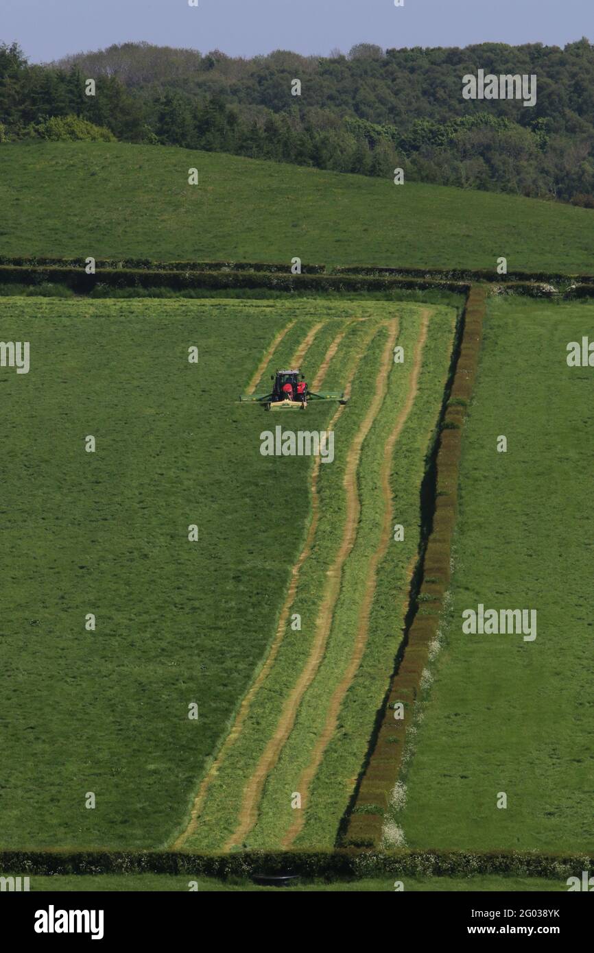 Silage making process hi-res stock photography and images - Alamy