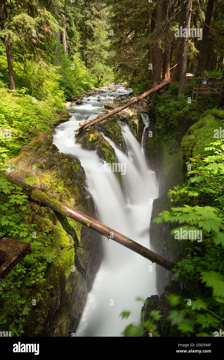 Sol Duc Falls in Olympic National Park, Washington, USA. Stock Photo