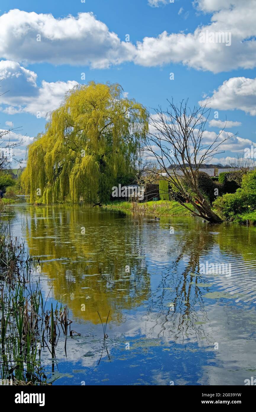 UK,South Yorkshire,Barnsley,Elsecar Canal Stock Photo