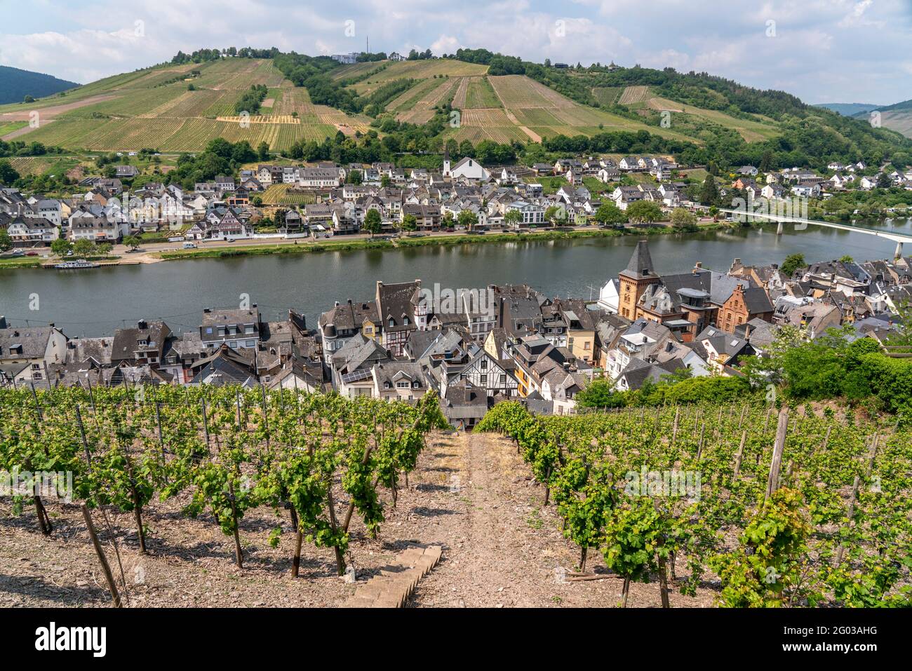 Weinberge, die Mosel und der Ort Zell, Rheinland-Pfalz, Deutschland  | Vineyard,  Moselle river and the town Zell, Rhineland-Palatinate, Germany Stock Photo