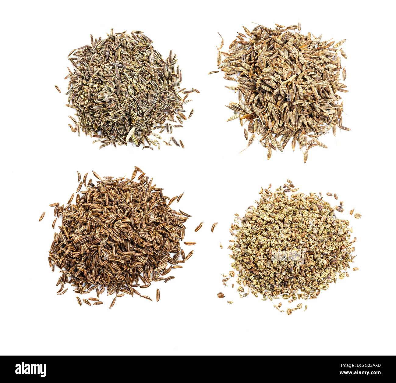 top view of various cumin like seeds (black cumin, cumin, caraway