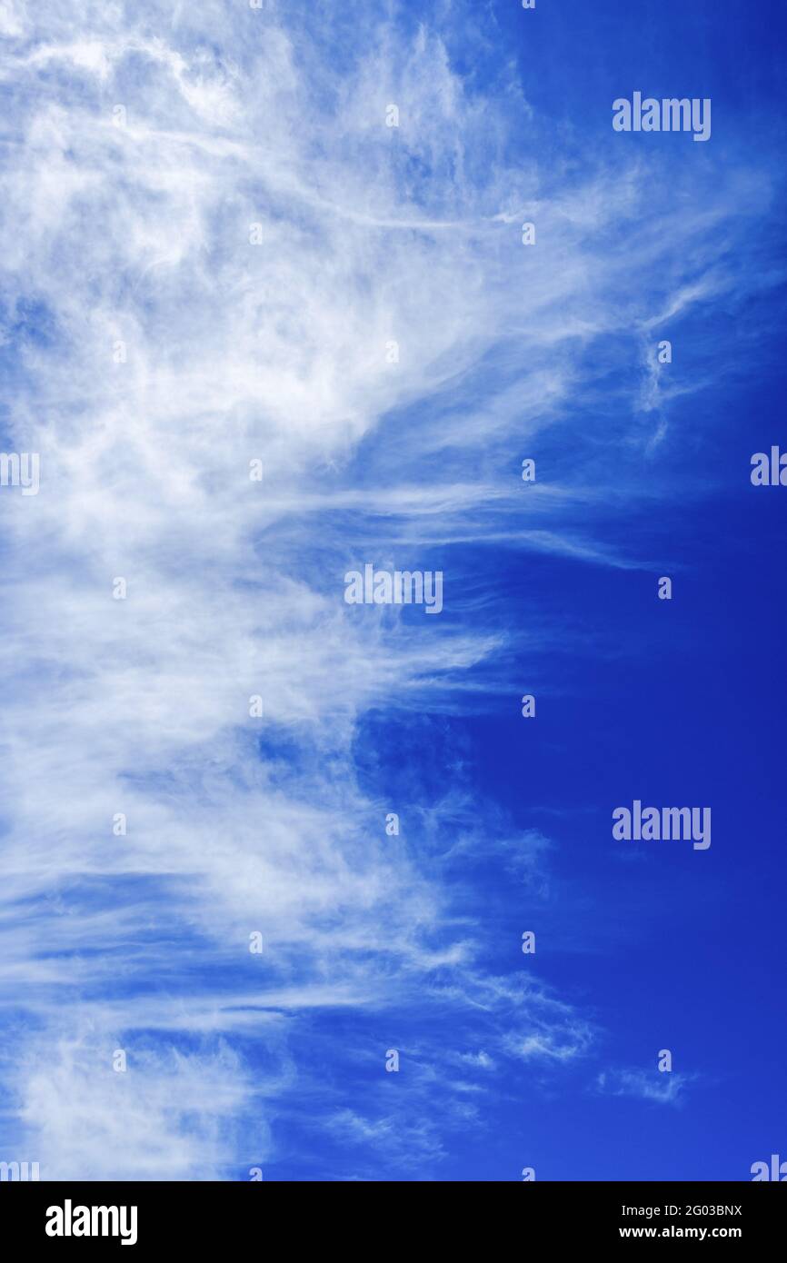 Beautiful Cirrus cloud on a blue summer sky Stock Photo