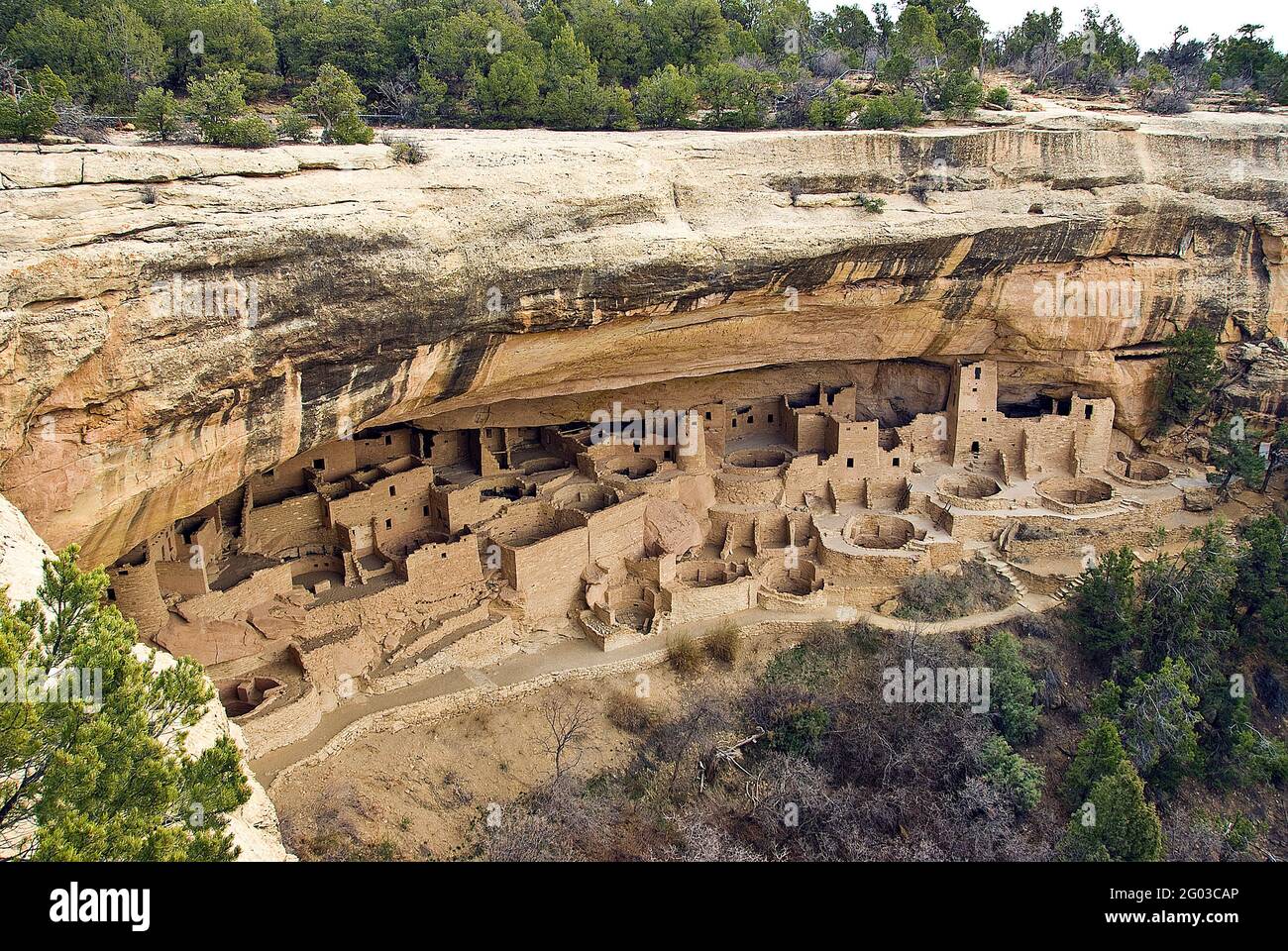 Cliff Palace, Mesa Verde National Park, Colorado Stock Photo - Alamy