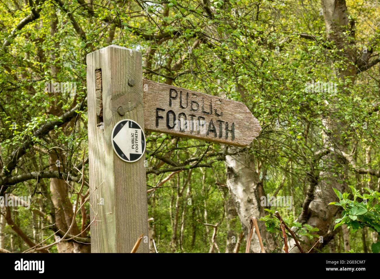 Hidden footpath marker hi-res stock photography and images - Alamy