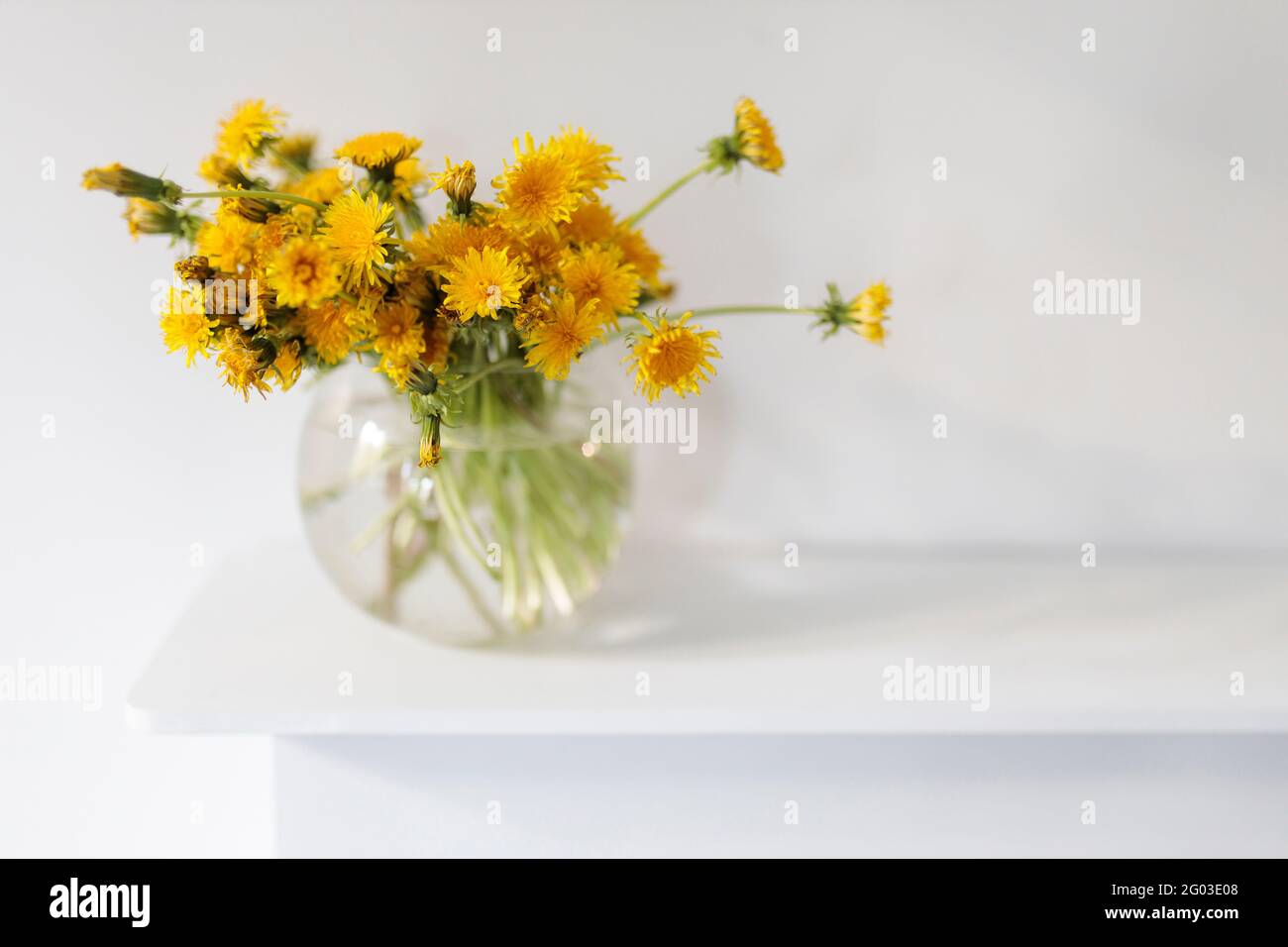 A bouquet of dandelions in a transparent glass vase. Copy space Stock ...